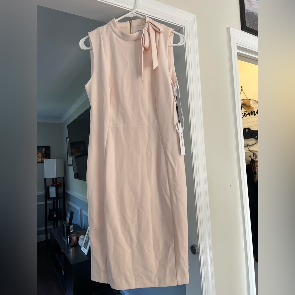 Calvin Klein Pink Shesth Dress - sz 10